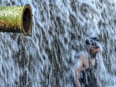 បាតុភូត El Nino បានចាប់ផ្តើមជាផ្លូវការហើយ ហើយសន្យាថានឹងក្លាយទៅជា “ប្រវត្តិសាស្ត្រ”។