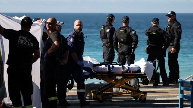 1781344436_shark-warning-sydney-beach.jpeg