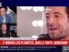 Bruel: “វានឹងក្លាយជាជម្លោះផ្លូវច្បាប់” (មេធាវី)