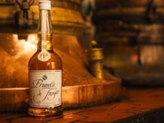 នៅក្នុងរូងភ្នំ Apple of Troyes – L’Express