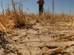 ព្រឹត្តិការណ៍ El Niño បានបណ្តាលឱ្យមានការខាតបង់សេដ្ឋកិច្ចរាប់ពាន់លានដុល្លារ ហើយវដ្តនៃឆ្នាំ 2026 នឹងមិនខុសគ្នាទេ