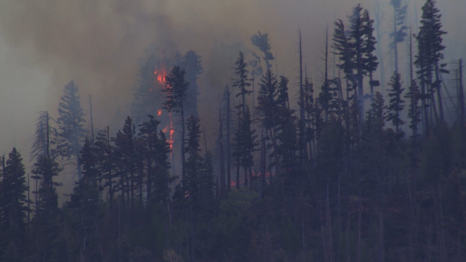 របាយការណ៍បឋមបង្ហាញថា យោធាកំពុងបង្កសញ្ញាយ៉ាងសកម្មនៅក្នុងតំបន់នៅពេលនោះ ដែលជាស្ថានភាពដែលអ្នកបើកយន្តហោះត្រូវបានព្រមានជាមុន។