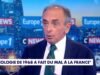 ចៅក្រម Eric Zemmour បាននិយាយថា “រដ្ឋបានដកហូតអាវុធដោយខ្លួនឯង ហើយលែងការពារជនជាតិបារាំងទៀតហើយ”