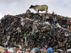 ក្រុមអ្នកស៊ើបអង្កេត EU រឹបអូសកាកសំណល់វាយនភណ្ឌ ៤.២០០ តោន ដែលត្រូវបានដឹកជញ្ជូនដោយខុសច្បាប់ពីប្រទេសអ៊ីតាលីទៅកាន់ប្រទេសទួរគី