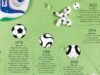 Infographic ។ តើបាល់ទាត់ត្រូវបានរចនាឡើងយ៉ាងដូចម្តេច?