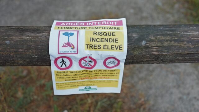 1782776874_9036055_upload-1-n3d2lwoha4bz-afp-20260626-hl-mthomasset-3211070-v1-highres-francewildfireriskforest.jpeg