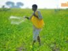 ₹2,000 រំពឹងទុក បានទទួល 1 paisa? PM Kisan SMS ច្រឡំកសិករនៅ Maharashtra
