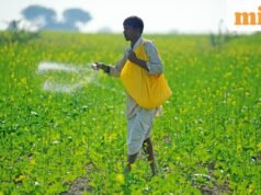 ₹2,000 រំពឹងទុក បានទទួល 1 paisa? PM Kisan SMS ច្រឡំកសិករនៅ Maharashtra