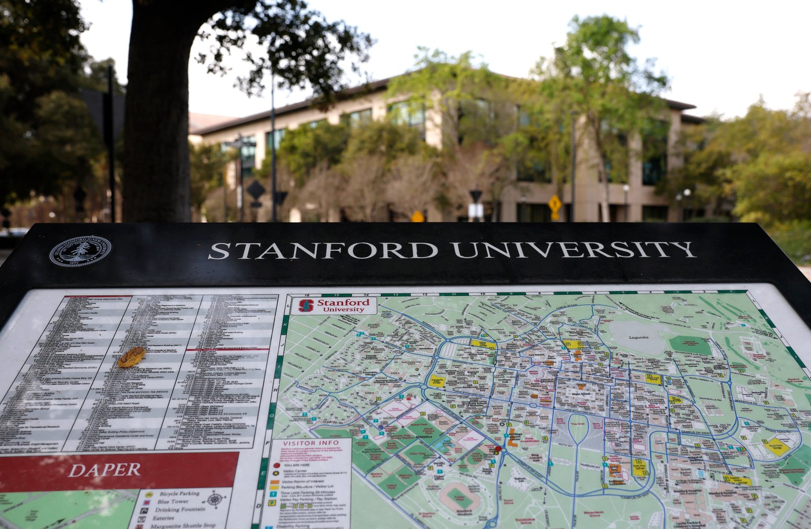 និស្សិតសាកលវិទ្យាល័យ Stanford មួយចំនួនបានប្រារព្ធពិធីទទួលមនុស្សផ្ទាល់របស់ពួកគេ។