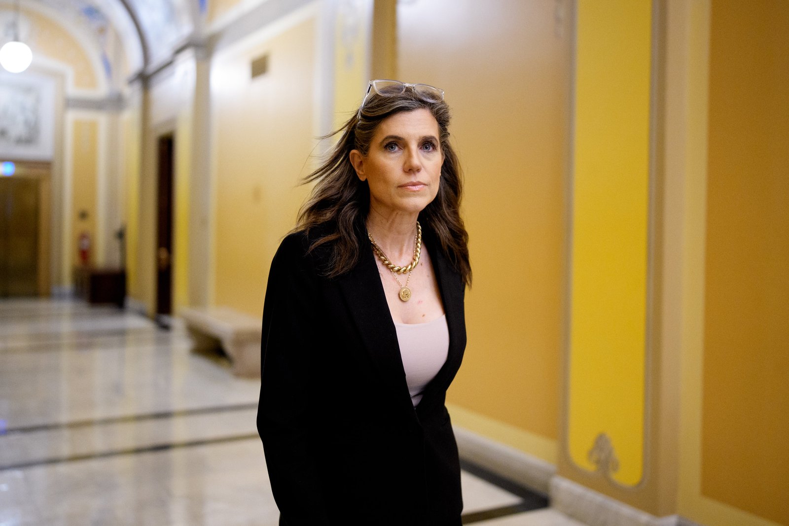 សមាជិកសភាលោកស្រី Nancy Mace នៃរដ្ឋ South Carolina បានបាត់បង់ការបោះឆ្នោតបឋមរបស់គណបក្សសាធារណរដ្ឋកាលពីដើមសប្តាហ៍នេះ បន្ទាប់ពីប្រធានាធិបតី Donald Trump បានបដិសេធមិនគាំទ្រលោកស្រីនៅក្នុងនោះ។