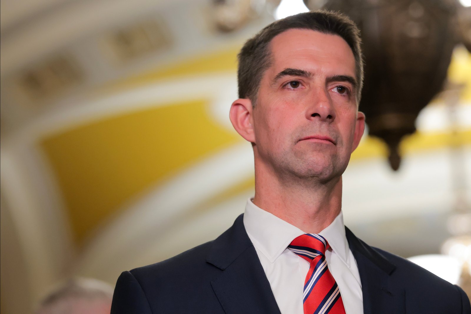 ព្រឹទ្ធសមាជិក Mark Warner ដែលជាអ្នកប្រជាធិបតេយ្យកំពូលនៃគណៈកម្មាធិការស៊ើបការណ៍សម្ងាត់ព្រឹទ្ធសភាដែលបានជួយចរចារលើសេចក្តីព្រាងច្បាប់នេះបានបោះឆ្នោតប្រឆាំងនឹងវា។ គាត់បាននិយាយកាលពីថ្ងៃព្រហស្បតិ៍ថាគាត់និងប្រធានគណៈកម្មាធិការ Sen. Tom Cotton ដែលបានបង្ហាញនៅទីនេះបានឈានដល់អ្វីដែលគាត់ហៅថា 