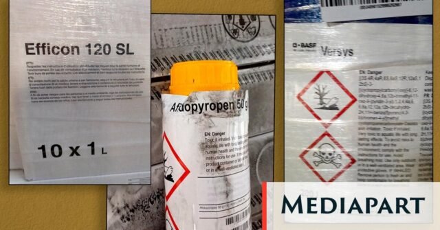 260630-img-des-pesticides-interdits-en-france-nouveau-decouverts-chez-basf-dans-le-rhone-2.jpg