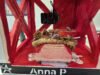 សិស្សមកពី Icam ក្នុង Strasbourg ចាប់យក kebab ទៅក្នុងលំហ