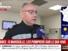 អ្នកពន្លត់អគ្គីភ័យមកពី Marseille ពន្យល់ថា “ក្នុង 90% នៃករណី ភ្លើងឆេះរុក្ខជាតិមានប្រភពដើមពីមនុស្ស”។