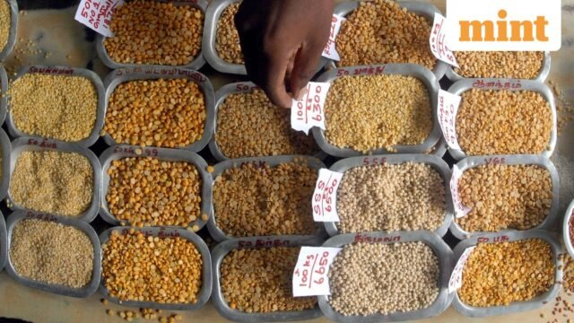 INDIA-MOZAMBIQUE-PULSES-0_1707893014295_1780409878044_a8e17da9-785d-482d-a40c-5b86dada4d6d.JPG