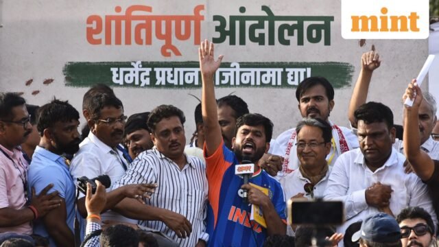 India-Cockroach-Party-12_1781195988890_1781195998265_a37cd89a-2a80-4b08-a9d3-15b659ebe539.jpg