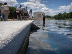 Trump ព្យាយាមបន្ទោសបញ្ហារបស់ Reflecting Pool លើការបំផ្លិចបំផ្លាញដោយមិនផ្តល់ហេតុផលណាមួយឡើយ។