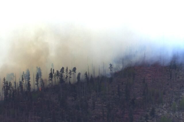 Plane_Crash_New_Mexico_7954_.jpg
