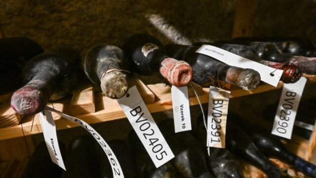 Vin-bordelais-Becov-tcheque-2297814.jpg