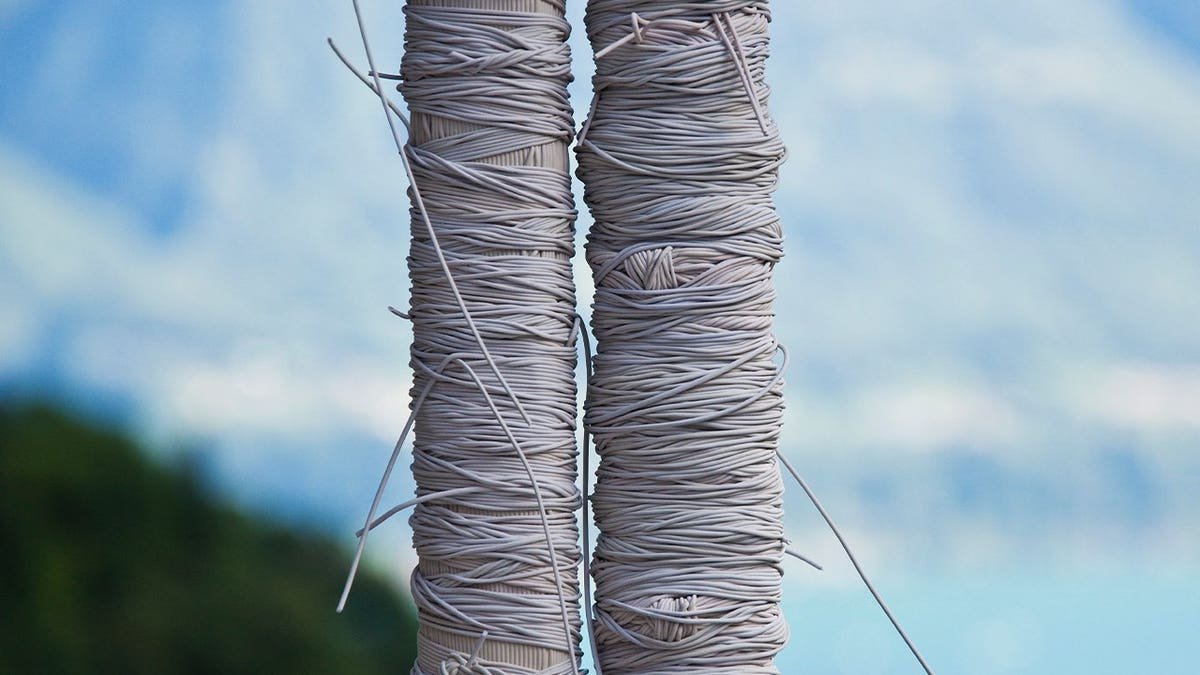 លោត bungee