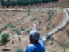 នៅ West Bank ប៉ាឡេស្ទីនត្រូវបានដកហូតចំការទំពាំងបាយជូររបស់ពួកគេ។