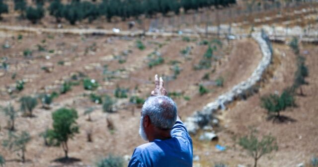 dd240d9_upload-1-zqfhymapyvju-089-mei-palestine-ms-pfsvds-20250808-005.jpg
