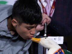 World Cup 2026. The Merlin Duck អ្នកគាំទ្រអាហ្សង់ទីនរលាយ… រូបភាពថ្ងៃទី ១២ នៃការប្រកួត World Cup មិនគួររំលង