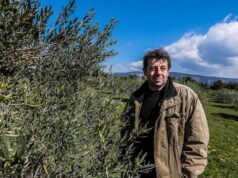Vaucluse ។ In L’Isle-sur-la-Sorgue the Bruel empire looms: “I can no longer bear that the city is linked to the affair”