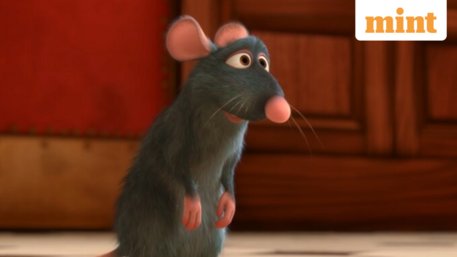 ratatouille_1782068072795_1782068073115_ecf854b7-7f51-42bb-9d69-31586e995743.png