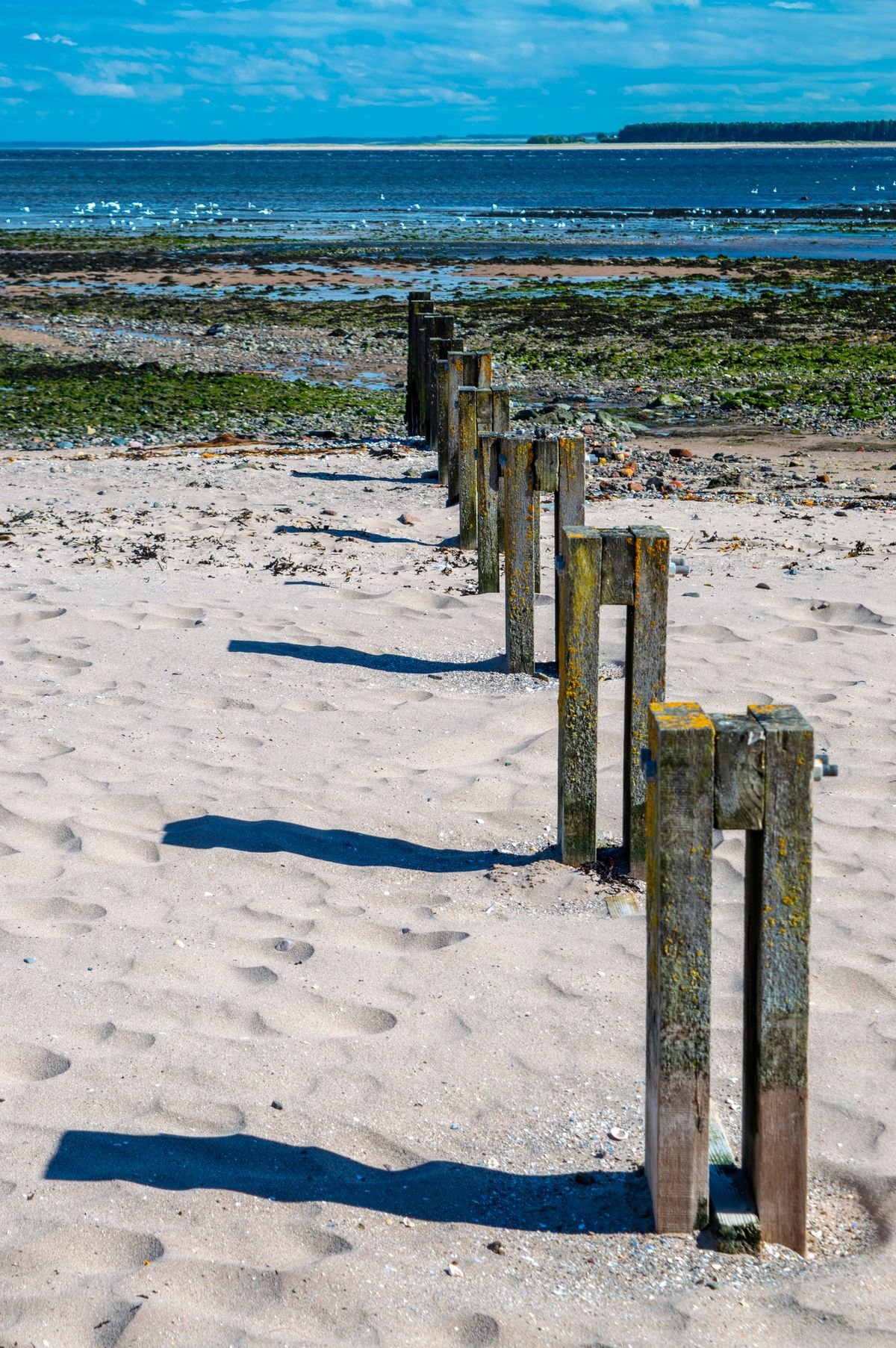 ឆ្នេរ Broughty Ferry
