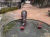វីដេអូ។ Pygmy hippopotamus នៅប្រទេសថៃ ទស្សន៍ទាយការប្រកួត World Cup វគ្គផ្តាច់ព្រ័ត្រ រវាងបារាំង និងអាហ្សង់ទីន