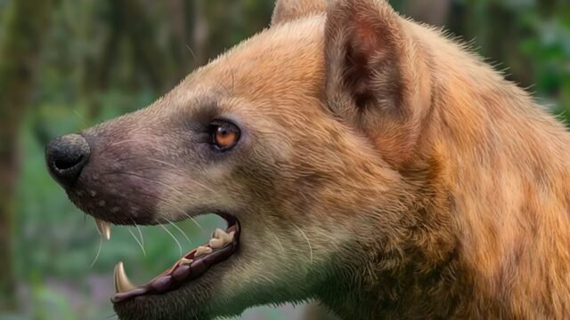 1200x675_cmsv2_fd68315b-776f-59d7-8053-5ae9f2e8045f-9825204.jpg