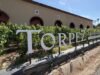 សហករណ៍ Saint-Tropez មានប្រតិកម្មបន្ទាប់ពីការស្តារឡើងវិញផ្លូវច្បាប់របស់ពួកគេ។