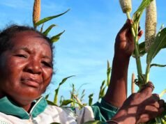 El Niño ត្រូវបានព្យាករណ៍ថានឹងកាន់តែអាក្រក់ទៅៗ ហើយលទ្ធភាពនៃព្រឹត្តិការណ៍អាកាសធាតុខ្លាំងកើនឡើង – ការព្រួយបារម្ភជាសកល