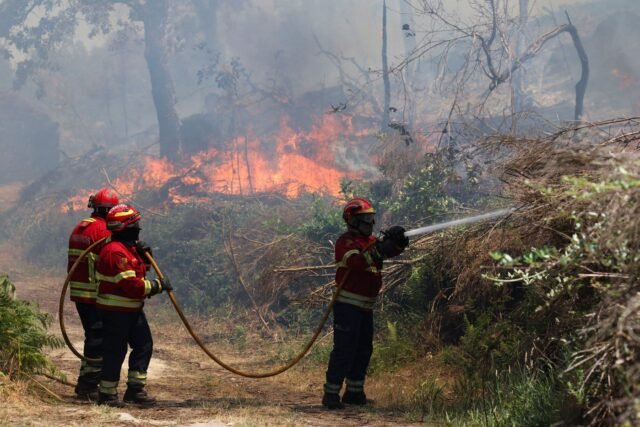 1783115402_2481290-les-pompiers-s-efforcent-deteindre-un-incendie-de-.jpg