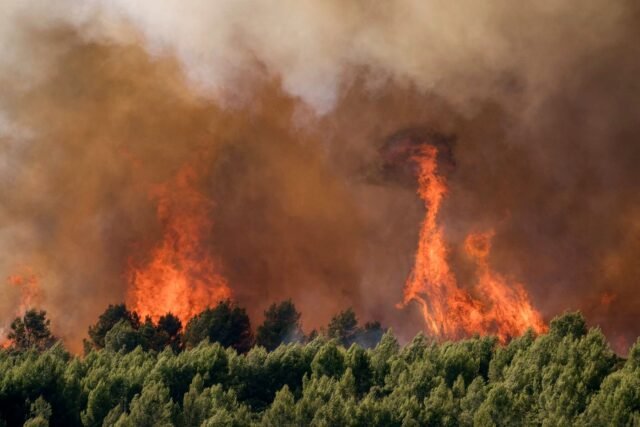 1783301273_2482119-un-incendie-de-foret-a-pouzols-minervois-aude-le-2.jpg