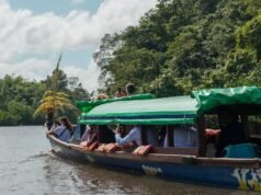 នៅពេលដែល rum ក្លាយជាបញ្ហាសេដ្ឋកិច្ច និងសង្គម – L’Express