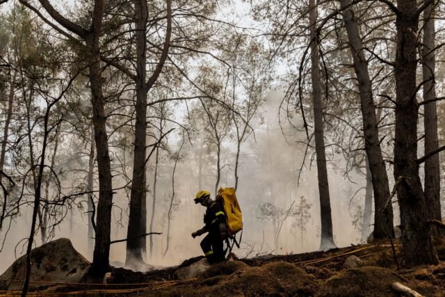 1784025364_2489264-des-pompiers-s-efforcent-deteindre-un-incendie-dan.jpg