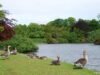 ទីក្រុងឆ្នេរសមុទ្រ Fife ដែលមានឆ្នេរចំនួនពីរគឺជាទ្រព្យសម្បត្តិ ‘ថោកបំផុត’ នៅស្កុតឡែន