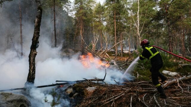 1784176582_d88e5c9_upload-1-ujmmqpdoymdt-afp-20260714-c24n8km-v1-highres-francefireweatherclimateforest.jpg