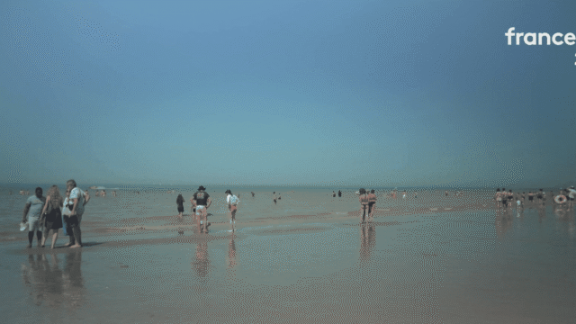 1784252640_6a594a3210659089457981.png