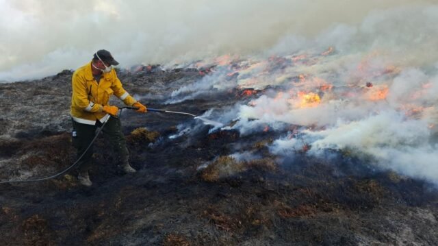 1784367836_0_fire.jpg