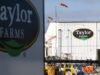 Taylor Farms កំពុងប្រមូលសាឡាត់ដែលត្រូវបានដឹកជញ្ជូនទៅកាន់រដ្ឋចំនួន 27 ដោយសារហានិភ័យ Cyclospora