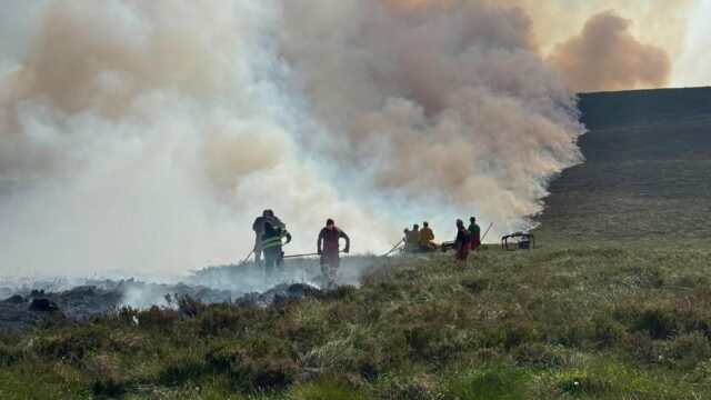 1784472174_0_wildfire.jpg