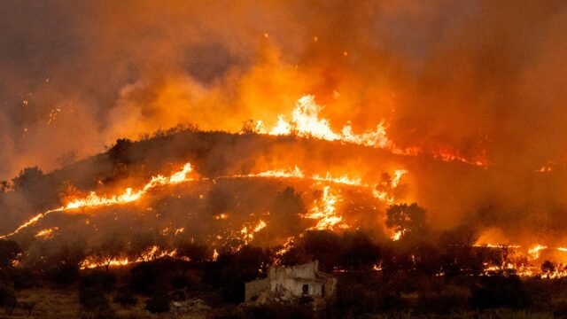 1784481056_almeria-wildfires-spain.jpg