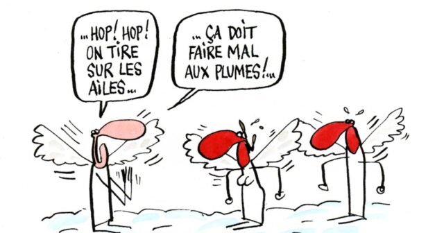 1784598171_8a7f508_upload-1-qkhpgzunzmfs-mix-et-remi-2011-01-25-3626-copie-w.jpg