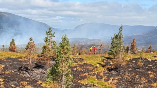 1784843694_0_cairngorms-wildfire-1.jpg