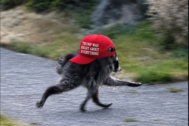 1784924453_Screenshot-2026-07-24-at-2-46-06-PM.png