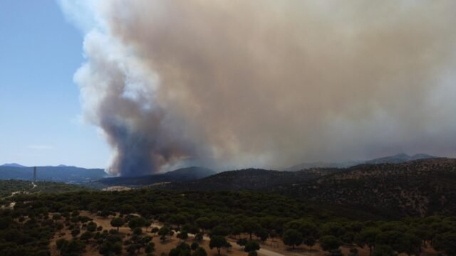 1785029033_65af314_upload-1-yoni3zf9fs8b-afp-20260723-aa-23072026-2892918-v1-highres-wildfirepromptsevacuations.jpeg
