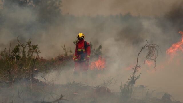 1785124648_Un-pompier-luttant-seul-face-aux-flammes-a-Marcheprime-Gironde-le-26-juillet-2026-2325429.jpg